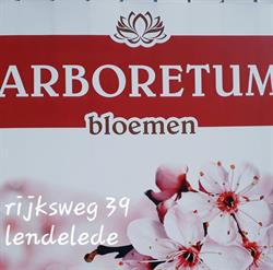 Bloemen Arboretum
