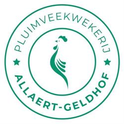Allaert-Geldhof C.