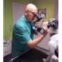 Ophtalmologie Vétérinaire - Dr Francois Ledoux