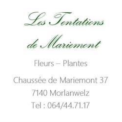 Tentations De Mariemont
