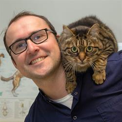 Dierenarts Demasure