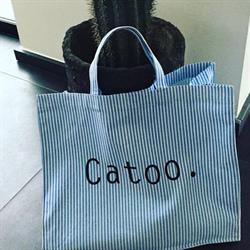 Catoo