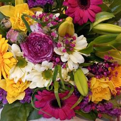 Fleurs de Nine (Aux)