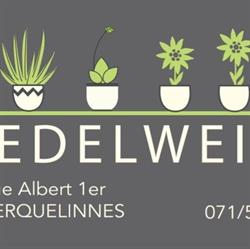 Edelweiss