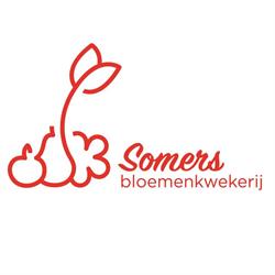 Bloemenkwekerij Somers