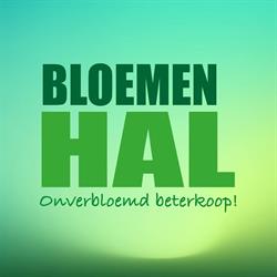 Bloemenhal Sint-Truiden