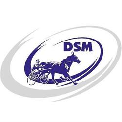 Dsm Trotting