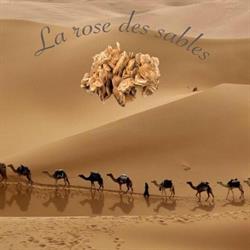 La Rose Des Sables