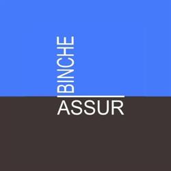 Binche Assurances-Binche Immo S.p.r.l.