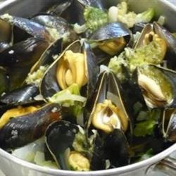 Scafiote (Li)
