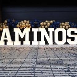 Aminos dap-dierenarts Ine Van Hoye