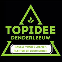 Topidee Denderleeuw BV
