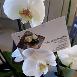 't Bloementuiltje