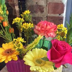Pimpernel Bloemen