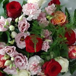 Floribunda