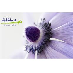 Fleuriste Hélène