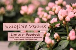 Euroflora