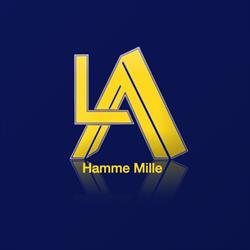 Immobilière L.a.