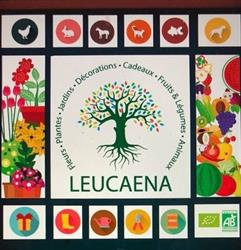 Leucaena