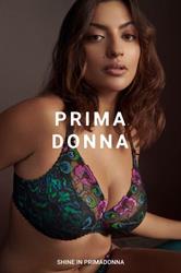 Lin's Lingerie