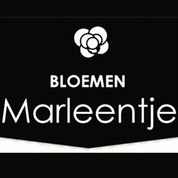 Bloemen Marleentje 3