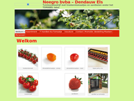 Neegro