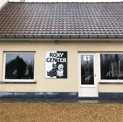 Roxy Center