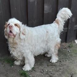 Trimshop Snuffel