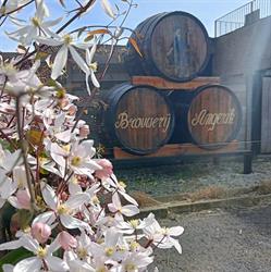 Brouwerij Angerik Bvba