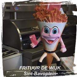 De Wijk