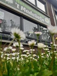 't Madeliefje