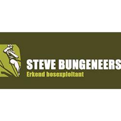 Bungeneers Steve