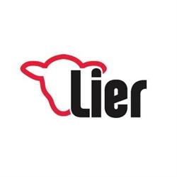 Stedelijke Welzijnsdienst Stad Lier Vzw