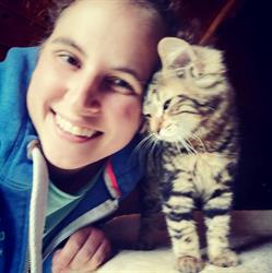 A Tout Poil , pension pour chats, lapins et cobayes