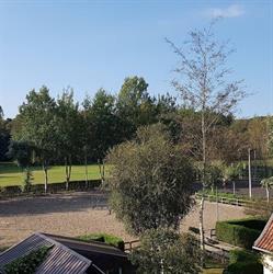 Stal Tillegem Bvba