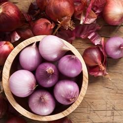 Fresh Onions Bvba