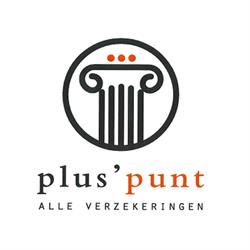 Plus'punt