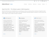 Global Exchange Services-GXS
