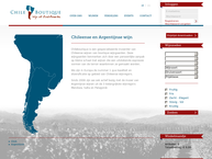 Site de Chileboutique