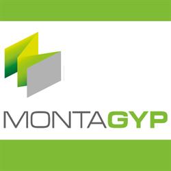 Montagyp