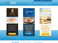 Site de Salm Invest