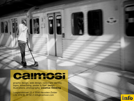 Caimosi