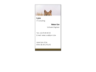 Lynx IT Consulting