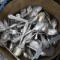 Aankoop-zilver-antiek-