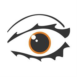 Full Vision Studio