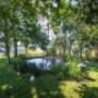 veel beplanting