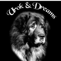 Hondenpension Urok en Dreams