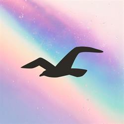 Hollister Co.