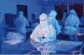 Cleanroom
