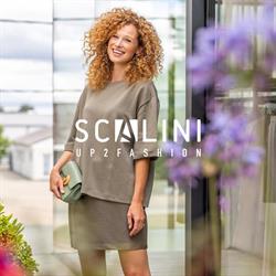 Scalini